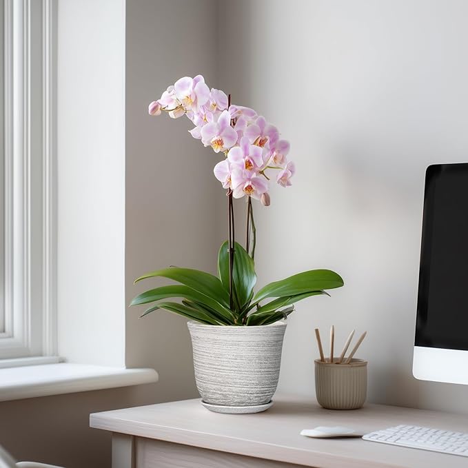 Ceramic Pots for Plants - 5.6 Inch Plant Pot with Drainage Hole and Tray, Round Succulents Pots for Indoor Outdoor, Decorative Planters, Home Room Office Decor, Gifts for Plant Lovers, Grey