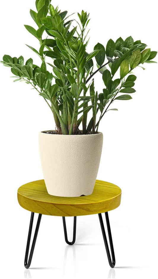 Plant Stand Indoor Outdoor Wood Mid Century Plant Stand for Indoor Plants, Modern Plant Table Round Plant Stool, Boho Rustic Wooden Stool for Plant Pot Hol (L)