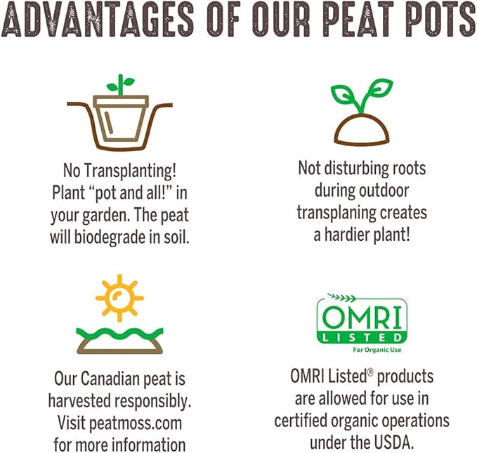 Jiffy Organic Seed Starting 3" Biodegradable Peat Pots (100 Pots)