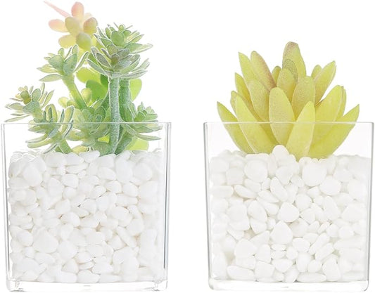 2-Pack Mini Transparent Acrylic Artificial Succulent Potted Small Fake Plants for Living Room Bathroom Decor Office Book Shelf Window Sill Decoration Accessories