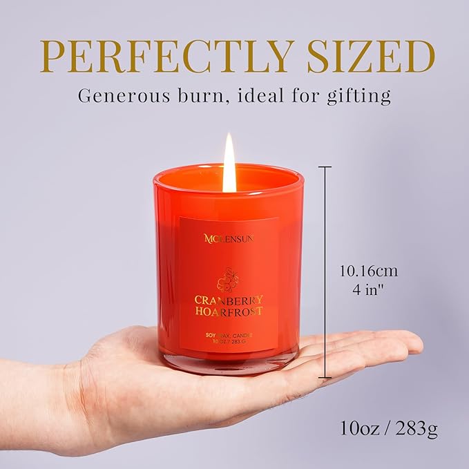 Cranberry Hoarfrost Candle, 10oz Soy Scented Candle for Home, Christmas Birthday & Holiday Gifts for Women & Men, Long Lasting 50+ Hour Clean Non-Toxic Burn, Elegant Winter & Christmas Home Decor