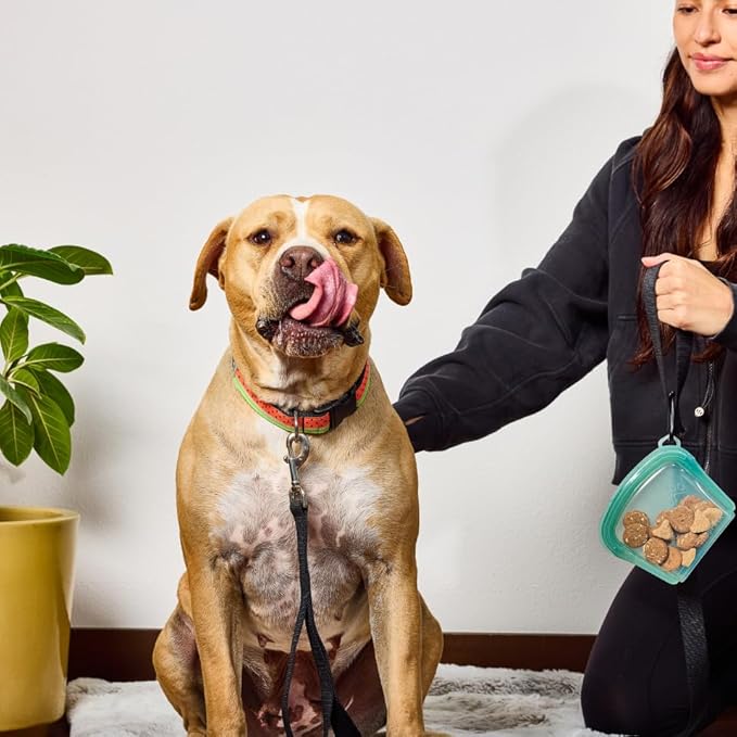 SnapPack Premium Silicone Reusable Pet Storage Stand-Up Bags, Peach, Pet Trio Set, Microwave, Dishwasher, Oven and Freezer Safe, BPA Free, Leak-free, and Eco-friendly |1000ml, 2000ml, 3500ml Set