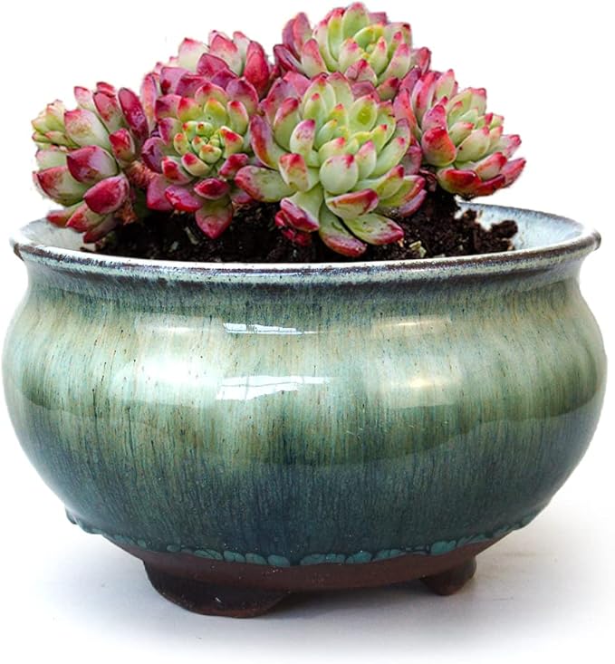 8 Inch Succulent Pot with Drainage and Saucer Glazed Terracotta Round Ceramic Succulent Planter Cactus Bonsai Plant Pot (White and Green)