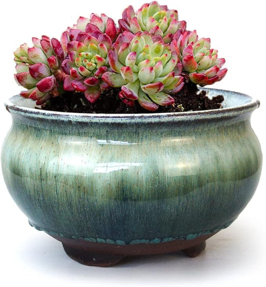 8 Inch Succulent Pot with Drainage and Saucer Glazed Terracotta Round Ceramic Succulent Planter Cactus Bonsai Plant Pot (White and Green)