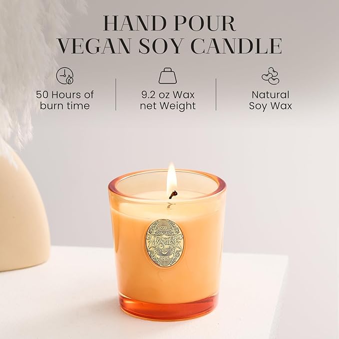 M&SENSE Natural Soy Candle | Basil Ginger & Orange | 9.2 oz, 50H Burn Time | Luxury Scented Candle for Relaxation, Gifting, Home Décor | Ideal for Bedroom, Office, Party Ambiance