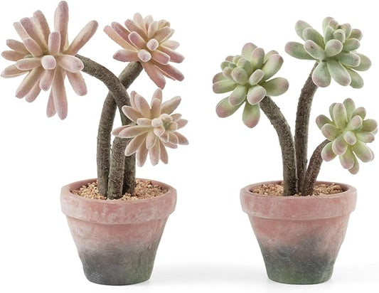 2-Pack Artificial Succulent Plants in Vintage Plastic Pots - Waterproof Fake Succulents Decor for Home, Office, Desk - Low Maintenance Indoor Plants for Bathroom, Shelf, Table Decor