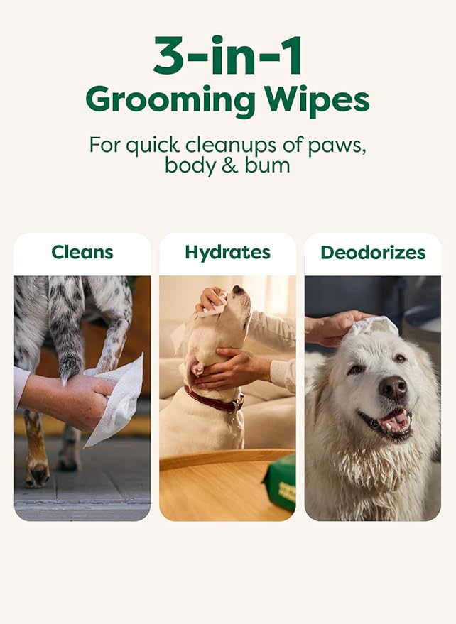 Earth Rated XL Pet Wipes for Dogs & Cats, 3-in-1 Unscented Hypoallergenic Cleaning, Deodorizing and Hydrating Extra Large Grooming for Body, Paws and Butt, Unscented, 60 Count