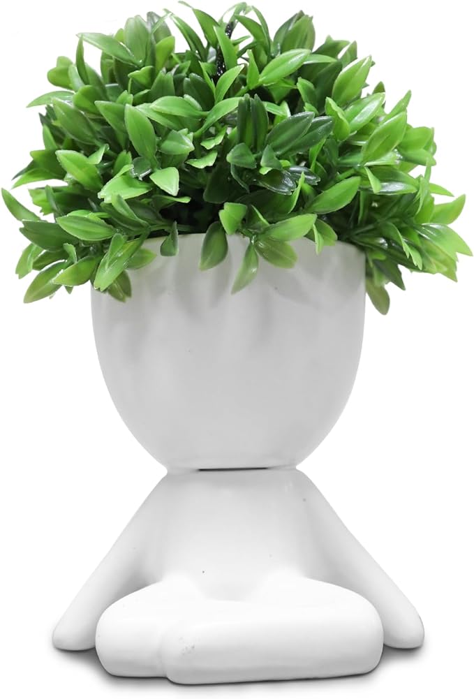 Zerzsy Mini Succulent Plant - Plants Gift - Cute Office Decor for Women - Office Decorations for Work DeskWomen - Desk Plants Decorations for Shelf- Set of 1