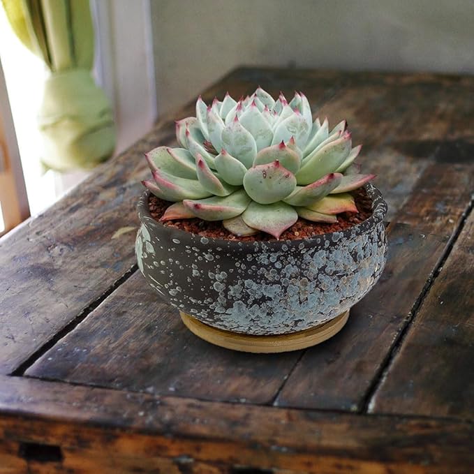 8 Inch Succulent Pot with Drainage and Saucer Glazed Terracotta Round Ceramic Succulent Planter Cactus Bonsai Plant Pot (Black)