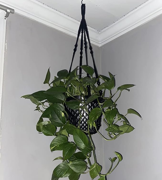 43 Inches Macrame Planter Hanger Large for 12 inch Pot + Swag Hook (Extra Long & Big) | Large Hanging Planter for Indoor Plants | No Tassel, Cotton Rope, NO Pot/Plant Included (Black)(XL)