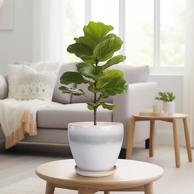 Ceramic Pots for Plants - 8 Inch Planter with Drainage Hole and Saucer, Round Flower Pot for Indoor Outdoor Plants, Decorative Planter, House Patio Decor, Housewarming Gifts, White-Grey