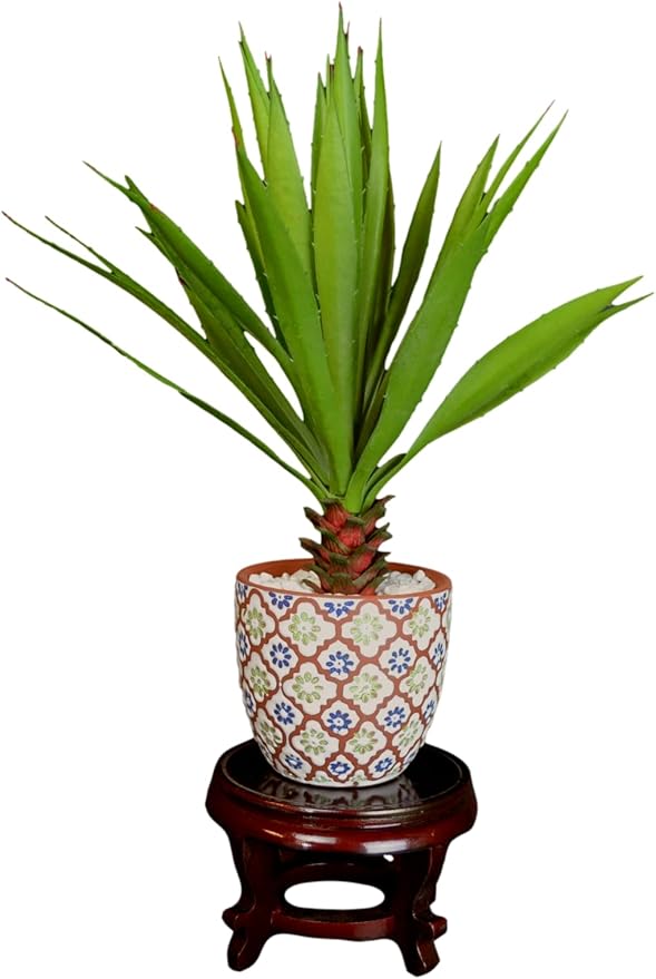 Wooden Fishbowl Display Vase Pot Planter Stand Plant Pot Display Stand (6)