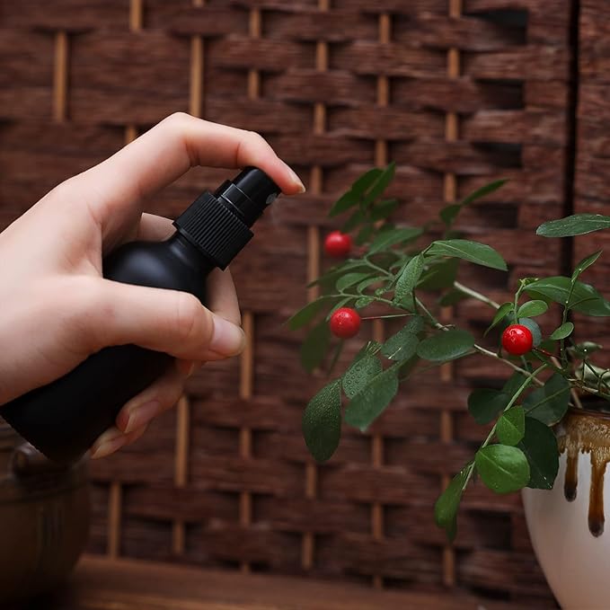 2oz Glass Spray Bottle, Fine Mist Boston Glass Bottles with Black Fine Mist Sprayer Small Clear Bottles for Essential Oils, Bath, Beauty, Hair & Cleaning, Black, Pack of 24