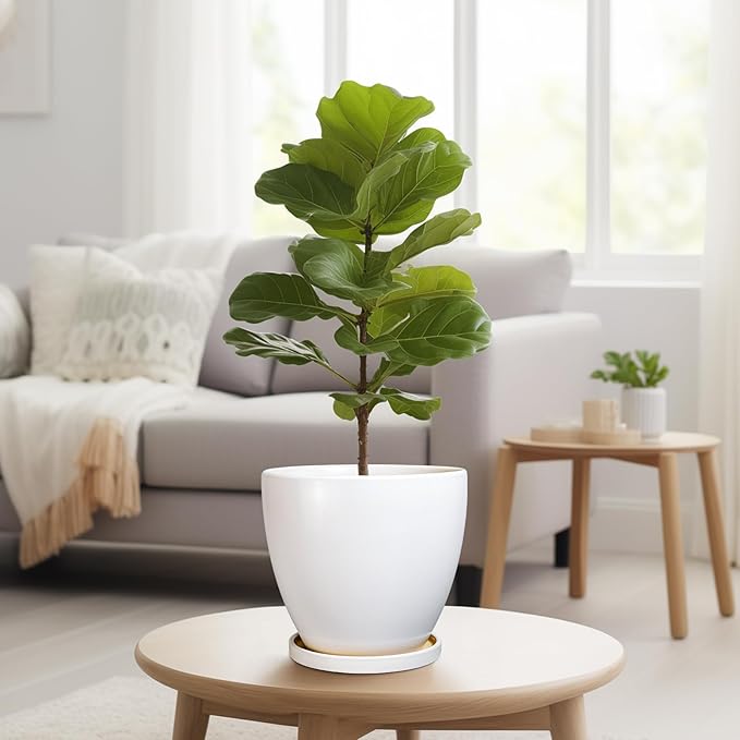 8 Inch Plant Pot - Ceraimc Planter for Indoor Outdoor Plants, Round Flower Pots with Drainage and Tray, House Decor, White