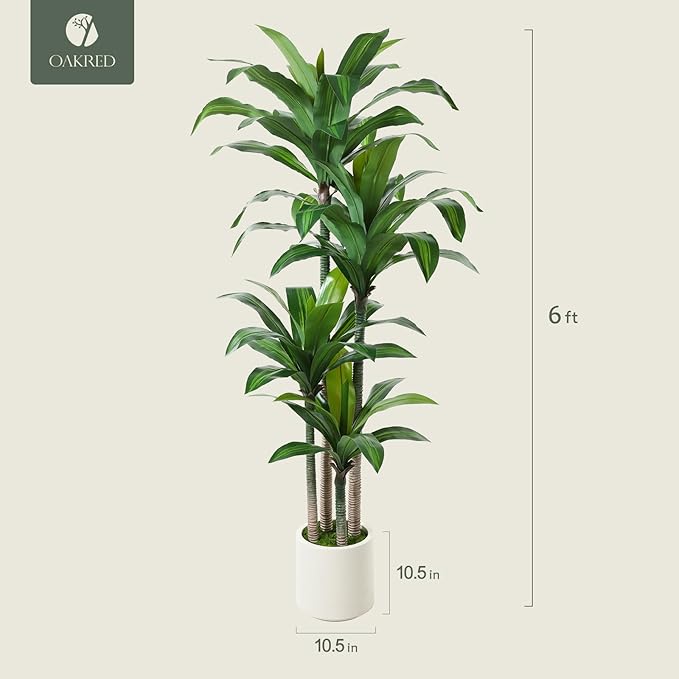 Artificial Dracaena Tree 6ft, Tall Fake Dracaena Plants with White Planter, Faux Dragon Tree Indoor Floor Plant for Home Decor Office Living Room Porch Housewarming, 1Pcs