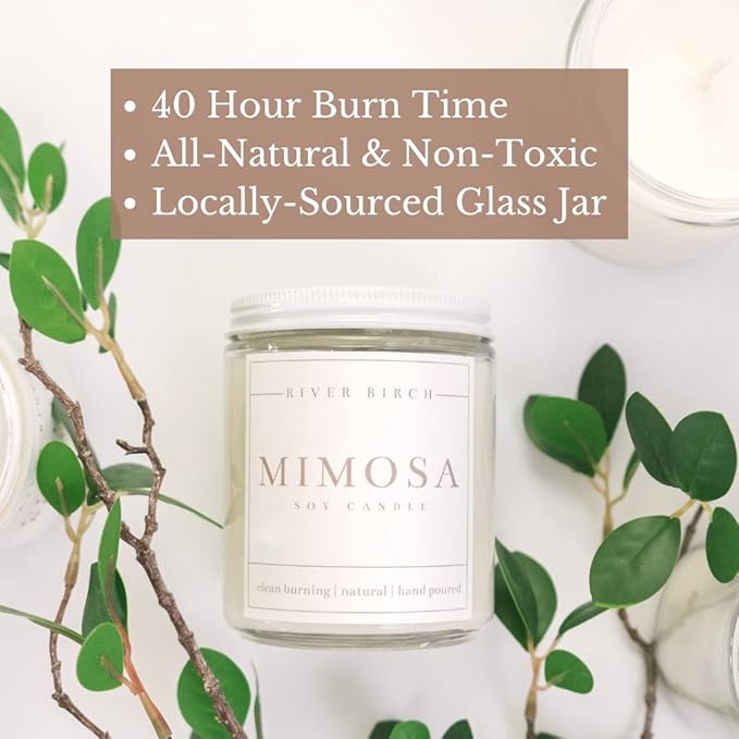 River Birch Candles Mimosa Scented Candle | Premium, All-Natural, Non-Toxic, Soy Candles | 8.5oz 40 Hr Burn Time | Cozy Relaxing Gifts for Home