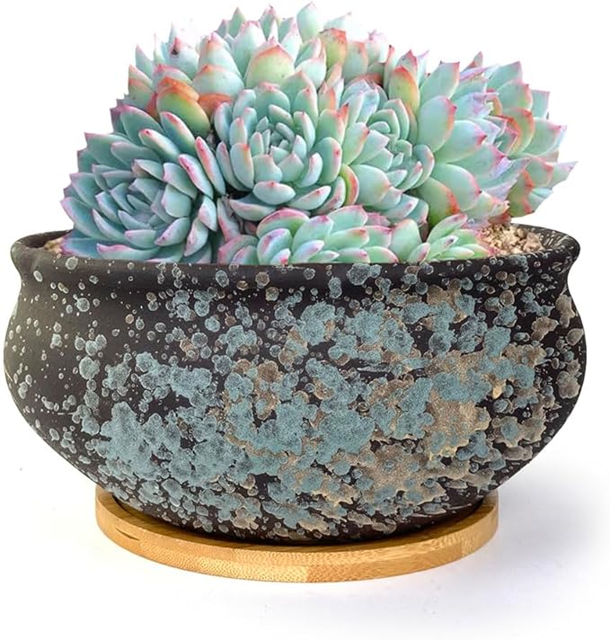 8 Inch Succulent Pot with Drainage and Saucer Glazed Terracotta Round Ceramic Succulent Planter Cactus Bonsai Plant Pot (Black)