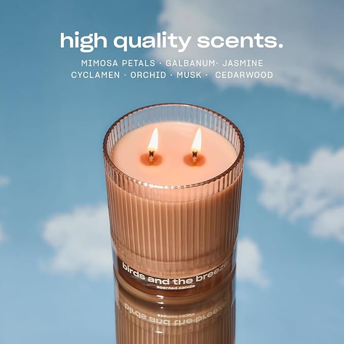 Birds and The Breeze Luxury Scented Candle by Snif, Light and Airy Scent, 50+ Hours, 100% Cotton Fiber Wicks, Soy Wax Blend, Non-Toxic, Vegan, 8.5 oz…