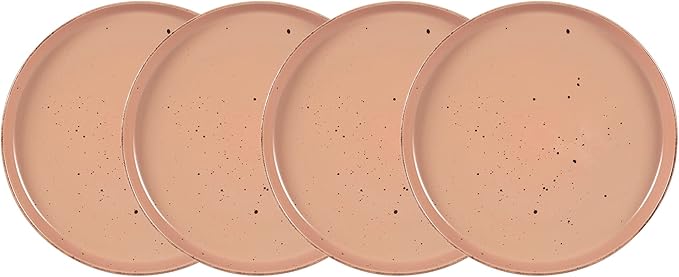 HomeVSS 20-Piece Dinnerware Set - Serves 4, Matte Rose Glaze plates and bowls sets with Speckle Effect for Microwave & Dishwasher Safe