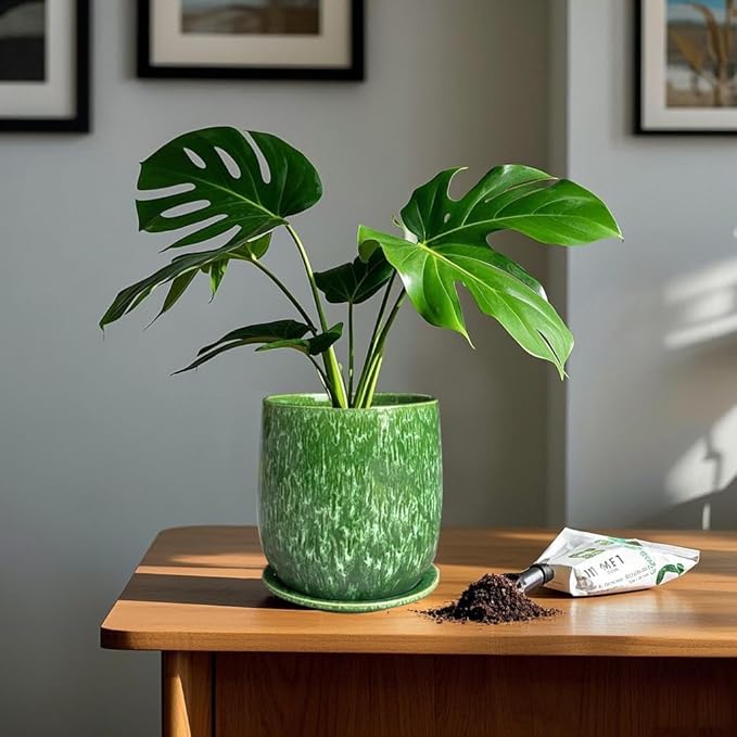 6 in Ceramic Plant Pot with Saucer，Indoor Plant Pot for Plants, Flower Pot with Drainage，Reactive Glaze Green