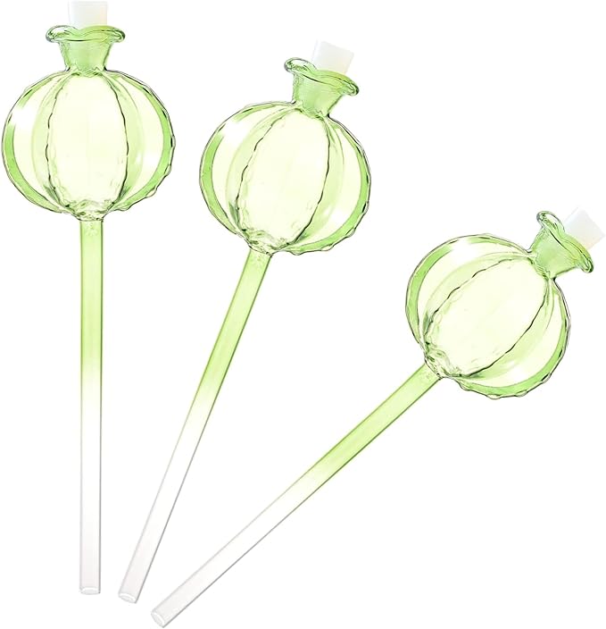 3pcs Glass Plant Self-Watering Bulb Automatic Planter Insert Potted Plant Pomegranates Globes Device Mushroom Watering Globes