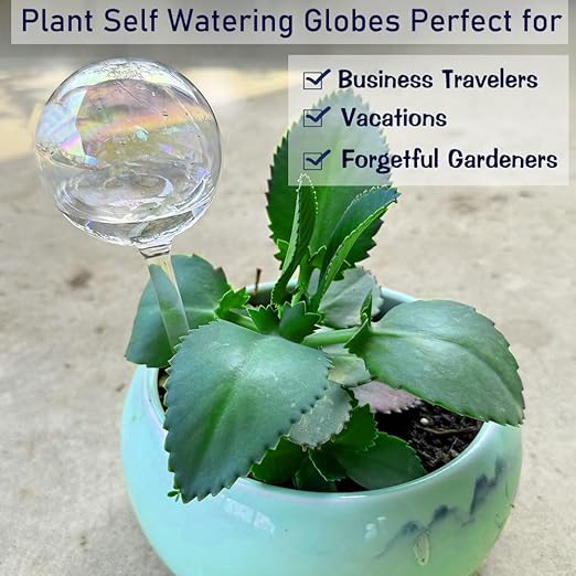 2pcs Glass Plant Watering Globes, Clear Rainbow Color Flower Self-Watering System Spikes, Automatic Plant Waterer Bulbs for Indoor & Outdoor Plants Everyday Use