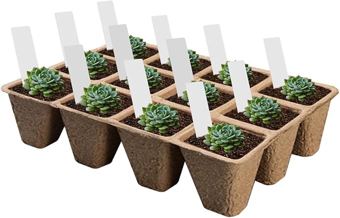 Biodegradable Plant Nursery Cups with Labels and Seedling Starters Plant Starting Pots for Vegetable Seedlings and Cuttings Gardening Starter Kit for Home and Nursery Use