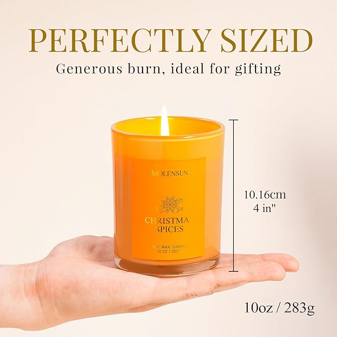 Christmas Spices Candle, 10oz Soy Scented Candle for Home, Christmas Birthday & Holiday Gifts for Women & Men, Long Lasting 50+ Hour Clean Non-Toxic Burn, Elegant Winter & Christmas Home Decor