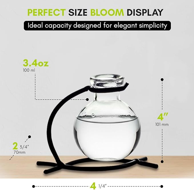 Couronne Company M501-200-00 Casablanca Recycled Glass Vase & Metal Stand, 4", Clear, 1 Piece