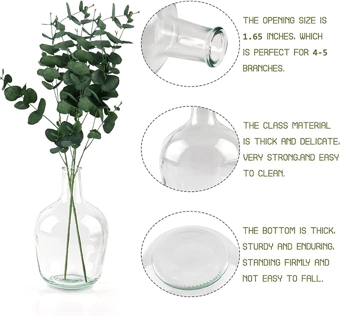 Clear Glass Vase Tall Farmhouse Vase for Branches Glass Vases for Centerpieces in Home Decoration (M)
