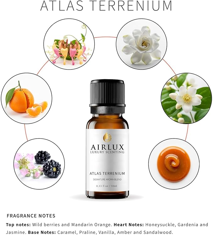 Signature Aroma Oil No. 223 Atlas Terrenium – Cardamom, Iris, Black Pepper – Aroma Oil for Cold Air & Waterless Diffusers and DIY Crafts – 10 mL, 0.34 fl oz Glass Bottle