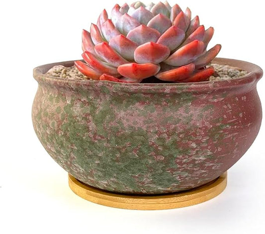 8 Inch Glazed Terracotta Plant Pot Round Ceramic Succulent Planter Pot with Drainage and Saucer Cactus Clay Pot Bonsai Pot (Pink and Green)