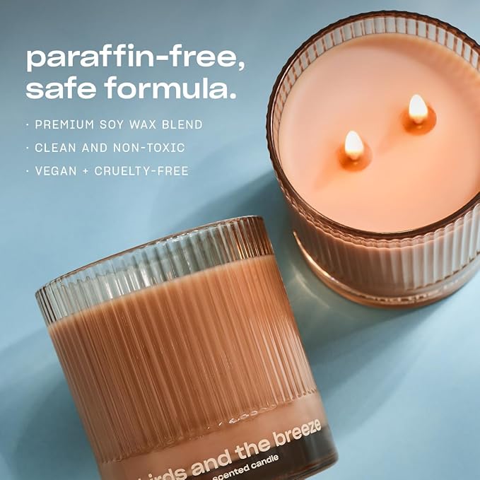 Birds and The Breeze Luxury Scented Candle by Snif, Light and Airy Scent, 50+ Hours, 100% Cotton Fiber Wicks, Soy Wax Blend, Non-Toxic, Vegan, 8.5 oz…