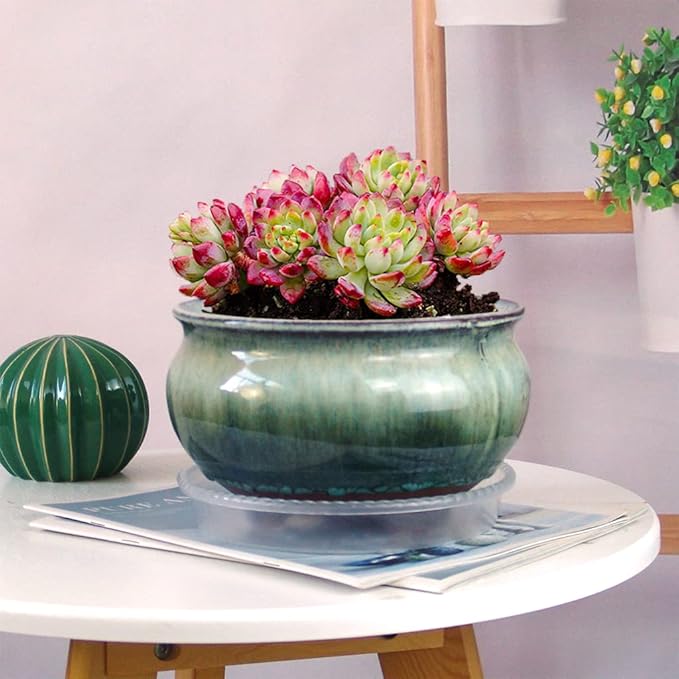 8 Inch Succulent Pot with Drainage and Saucer Glazed Terracotta Round Ceramic Succulent Planter Cactus Bonsai Plant Pot (White and Green)