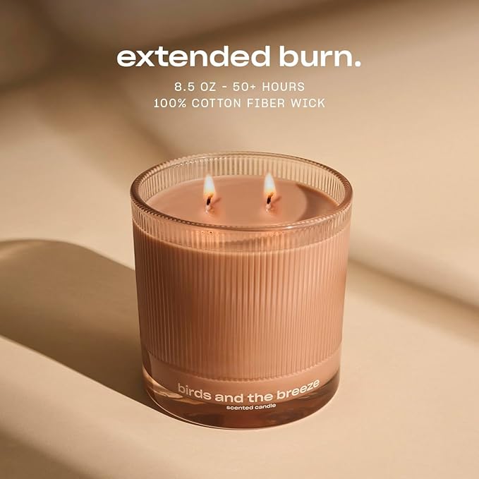 Birds and The Breeze Luxury Scented Candle by Snif, Light and Airy Scent, 50+ Hours, 100% Cotton Fiber Wicks, Soy Wax Blend, Non-Toxic, Vegan, 8.5 oz…