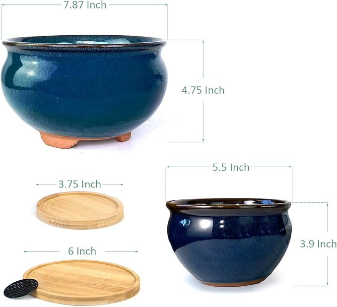 8 and 5.5 Inch Succulent Pot with Drainage and Saucer Glazed Terracotta Round Ceramic Succulent Planter Cactus Bonsai Plant Pot (Dark Green)