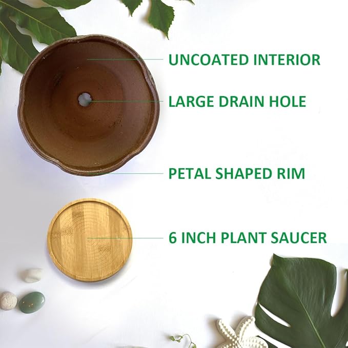 8 Inch Glazed Terracotta Plant Pot Round Ceramic Succulent Planter Pot with Drainage and Saucer Cactus Clay Pot Bonsai Pot (Brown)