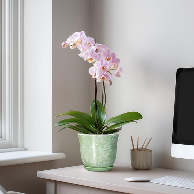 Ceramic Plant Pots - 5.6 Inch Plant Pot with Drainage Hole and Saucer, Round Orchid Succulent Pots for Indoor Outdoor, Small Modern Planter, Desk Window Room Decor, Green