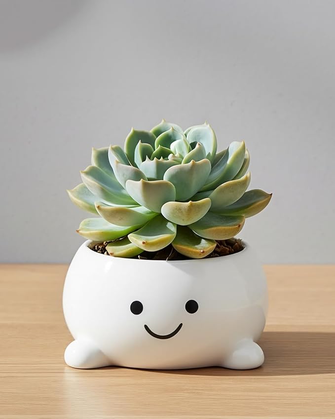 Smily Face Planter Pot Funny Toilet Plant Pots Cute Ceramic Flower Head Planters Succulent Pots for Indoor Outdoor Plants Unique Bathroom Planter with Drainage Hole