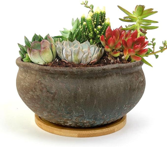 8 Inch Glazed Terracotta Plant Pot Round Ceramic Succulent Planter Pot with Drainage and Saucer Cactus Clay Pot Bonsai Pot (Brown)