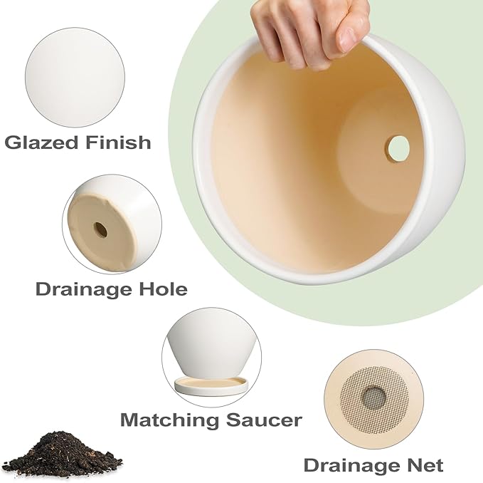 Ceramic Planter - 10 Inch Plant Pot with Drainage Hole and Tray, Flower Pot Planters for Indoor Plants, Modern Room Garden Patio Bathroom Living Room Porch Home Decor， White