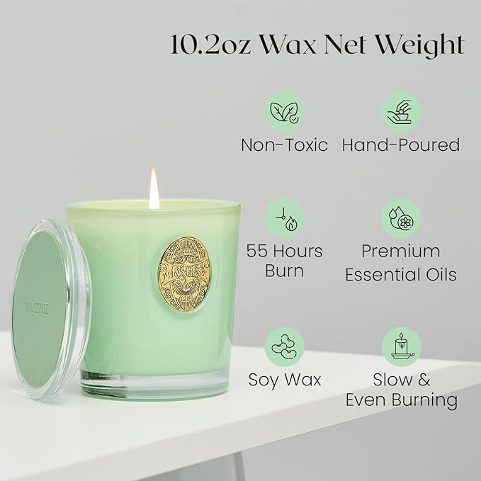M&SENSE Natural Soy Candle| Verbena Basil Green | 10.2 oz, 55H Burn | Luxury Scented Candle for Relaxation, Gifting, Home Décor | for Bedroom, Office, Party