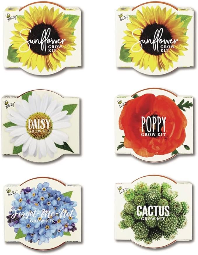 BUZZY Seeds Mini Terracotta Grow Pots Daydream Collection, Assorted 6-Pack Flower and Plant Seed Starter Kit for Kids and Adults, Indoor Gardening Gift, Holiday Present, Stocking Stuffer