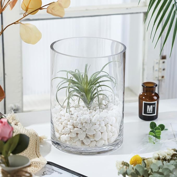 6" Wide 8" High Large Hand Blown Sturdy Clear Cylinder Glass Vase, Centerpiece Flower Vase for Rose, Tulip, Boquets, Hurricane Candle Holder (2, 6"x8")