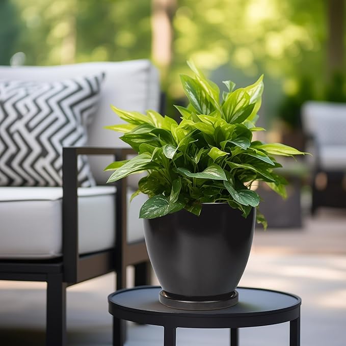 8 Inch Plant Pot - Ceraimc Planter for Indoor Outdoor Plants, Round Flower Pots with Drainage and Tray, House Decor, Black