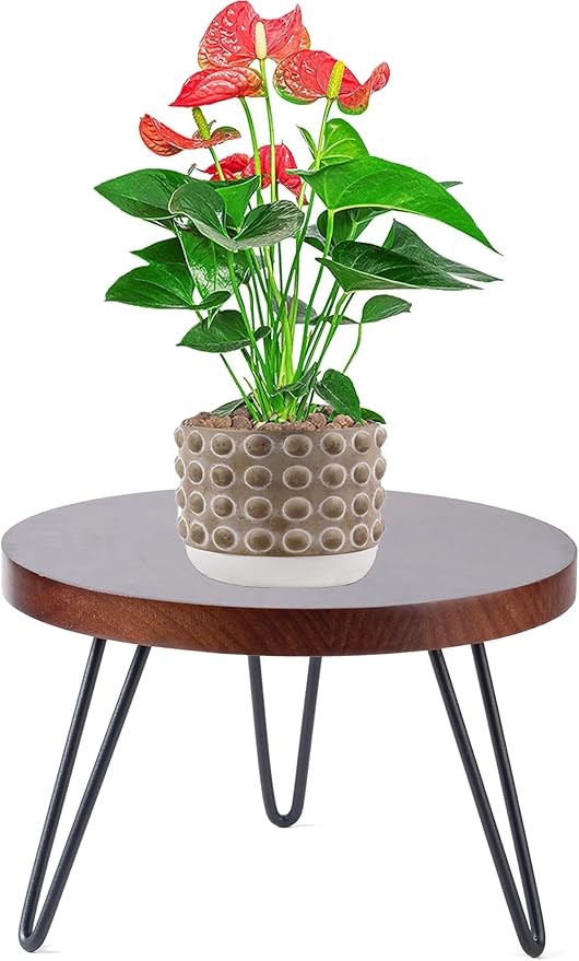 Plant Stand Indoor Outdoor, Wooden plant Stool, Mid Century Plant Stand for Indoor Plants, Wood Modern Plant Holder Rattan Flower, Low Short Boho Rustic Planter Stand Fit 5-15 Inch Pot (Walnut, M)