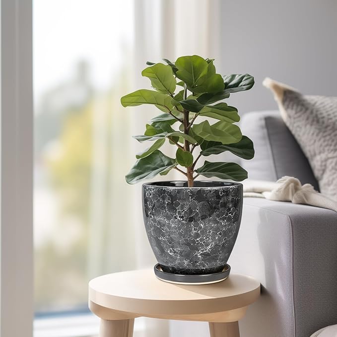6.3 Inch Plant Pot - Ceramic Planter for Indoor with Drainage Hole and Saucer, Round Succulent Pot, Modern Flower Planters, Home Room Garden Office Decor, Gardening Gifts for Women, Grey