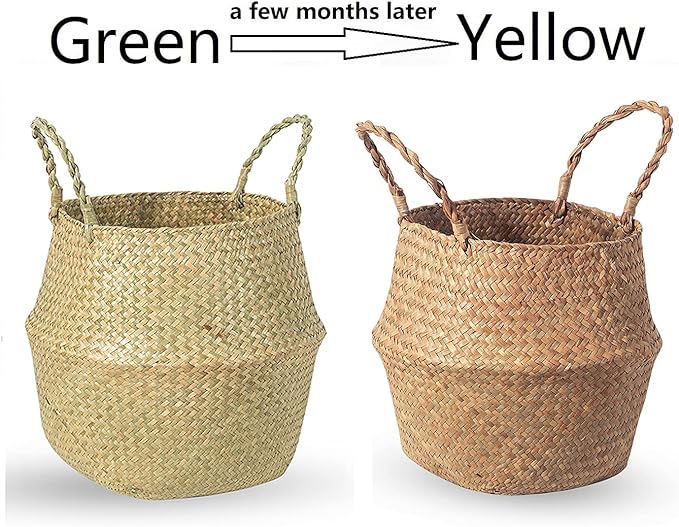 Seagrass Belly Basket, Set of 2 Woven Plant Pot Holder handmade Home Decor for Storage Plants Picnic Grocery Medium(10.63 x 9.44 inch)