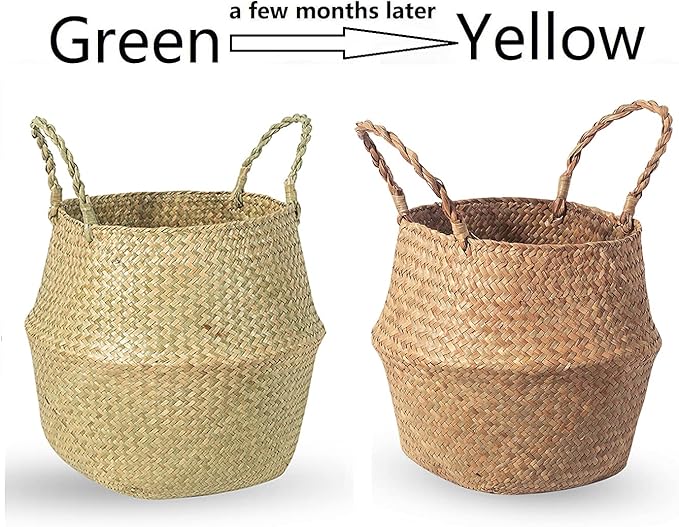 Seagrass Belly Basket, Set of 2 Woven Plant Pot Holder Handmade Home Decor for Storage Plants Picnic Grocery Large(12.6 x 11.02 inch)