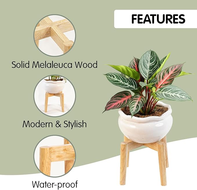 Wood 7.5" x 9.8" Plant Stand Indoor Outdoor, Wooden Single Floor Plant Pot Holder, Natural Plant Stand, Assembly Required (Excluding Potted Plants)